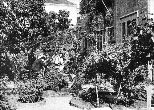 Jardin