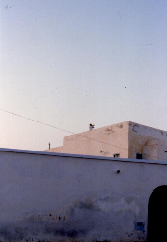Vue du toit de la synagogue de la Ghriba, avec religieux sonnant le shofar