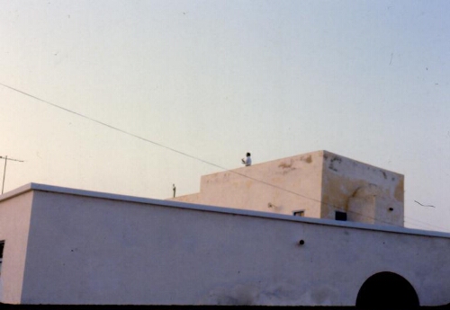 Vue du toit de la synagogue de la Ghriba