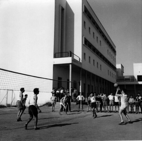 Ecole Nornale Hébraïque “Maghen-David”. Activités sportives