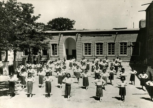 Groupe d’élèves filles. Gymnastique